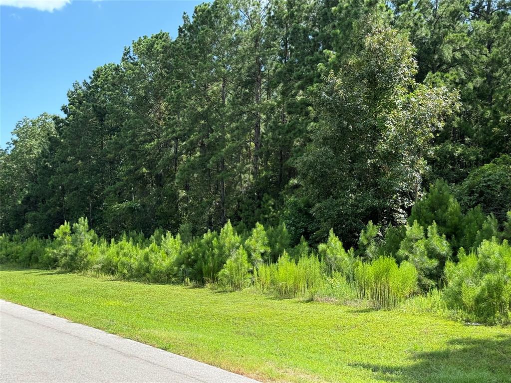 5-24-22 Rim Rock Road, Huntsville, Texas image 7