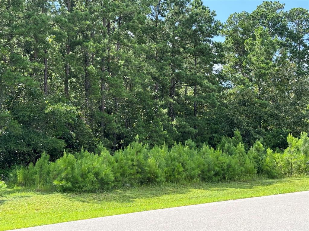 5-24-22 Rim Rock Road, Huntsville, Texas image 4
