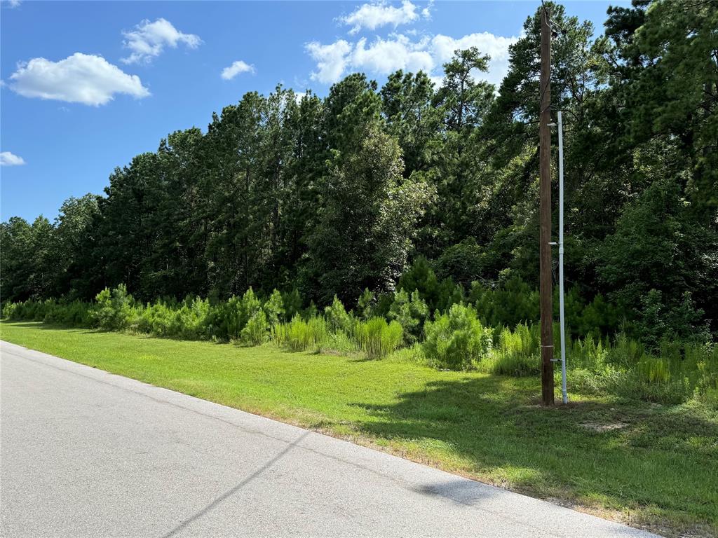 5-24-22 Rim Rock Road, Huntsville, Texas image 6