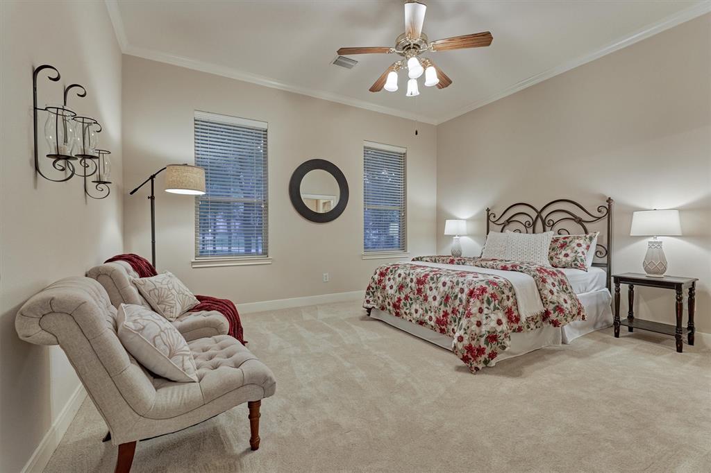 87 W Shore Drive, Montgomery, Texas image 28