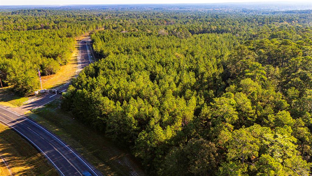 011 Magnolia Ranch Road, Onalaska, Texas image 7