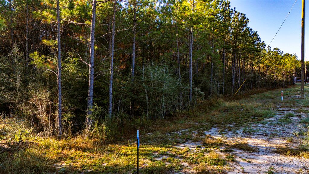 011 Magnolia Ranch Road, Onalaska, Texas image 3