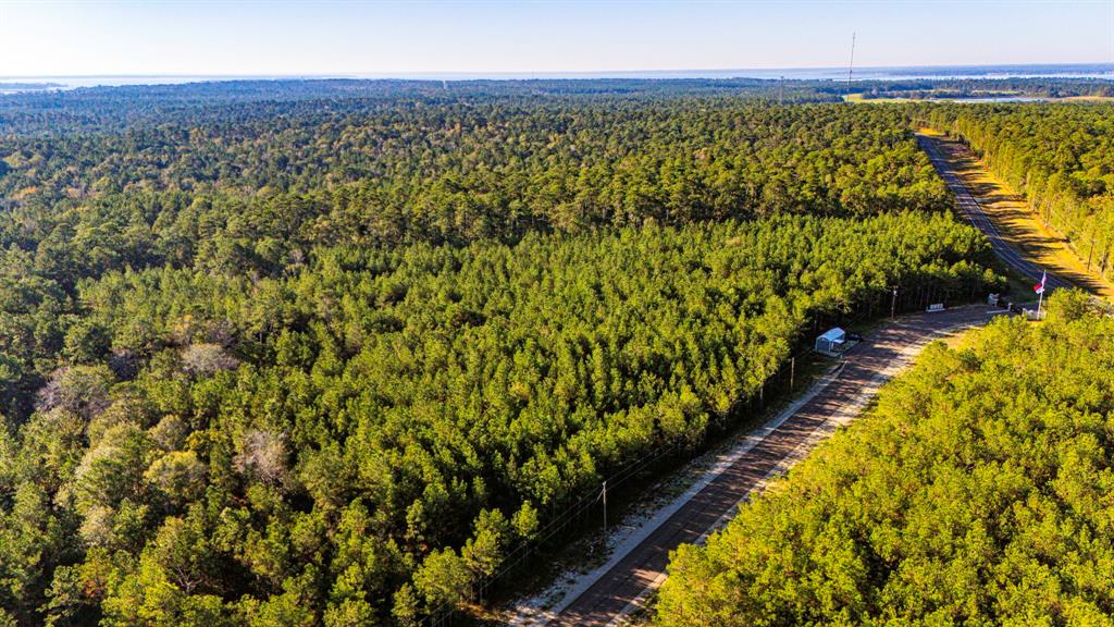 011 Magnolia Ranch Road, Onalaska, Texas image 9