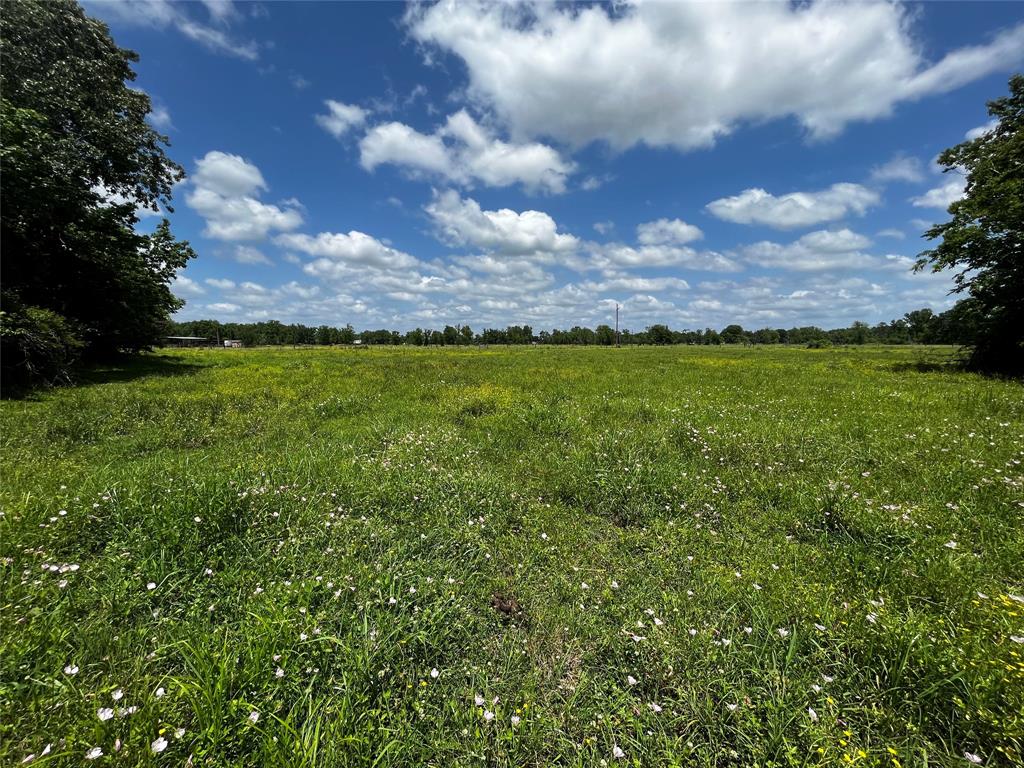 171 County Road 2010, Hardin, Texas image 1