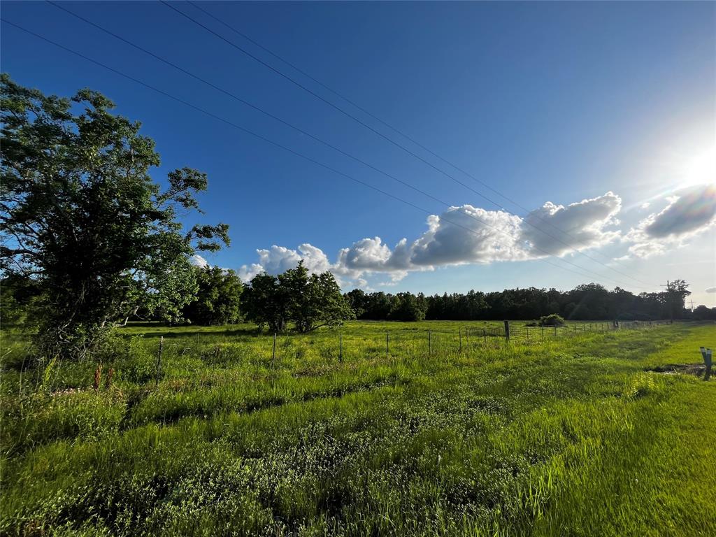 171 County Road 2010, Hardin, Texas image 5