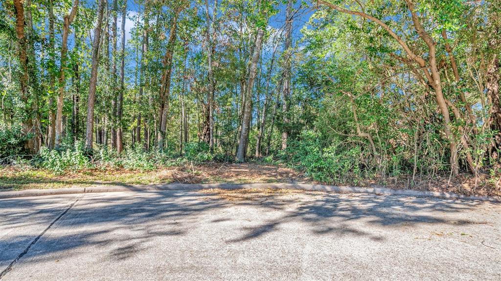 TBD Cr 318, Caldwell, Texas image 1