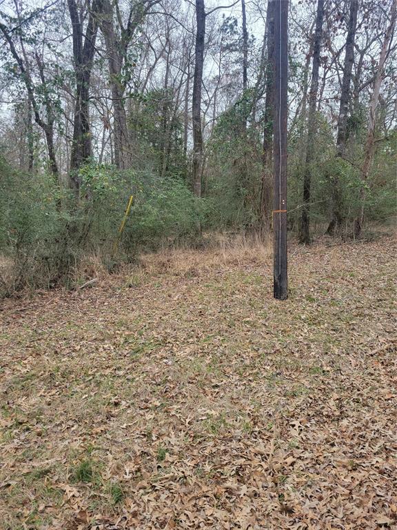 Lot 9 & 10 Tall Timber Road, Crockett, Texas image 3