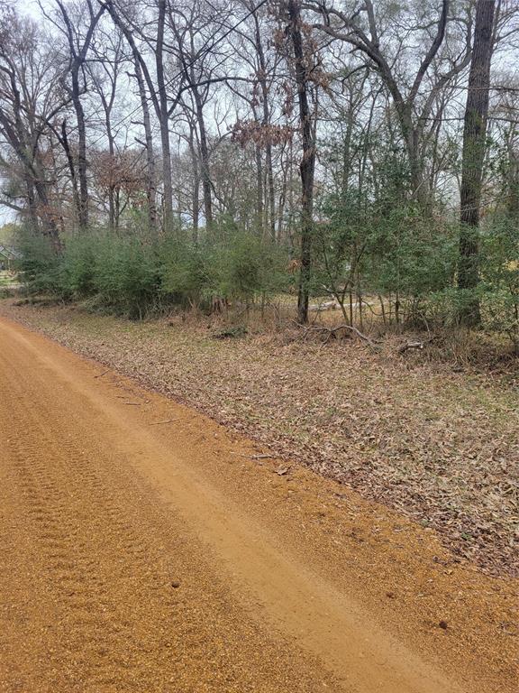 Lot 9 & 10 Tall Timber Road, Crockett, Texas image 4