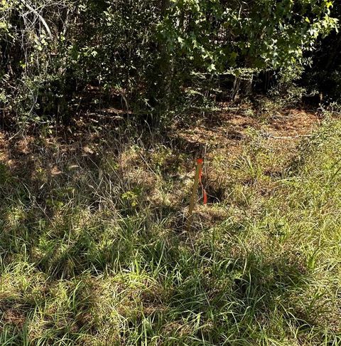 Photo of 0 Hwy 87, Kirbyville, TX 75956 (MLS # 12107902)