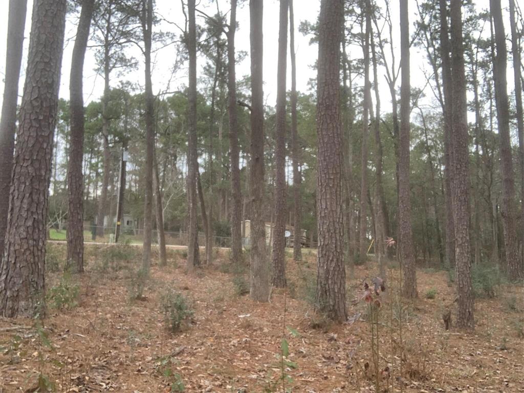 11 Yolanda Street, Huntsville, Texas image 2