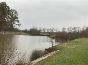 11 Yolanda Street, Huntsville, Texas image 6