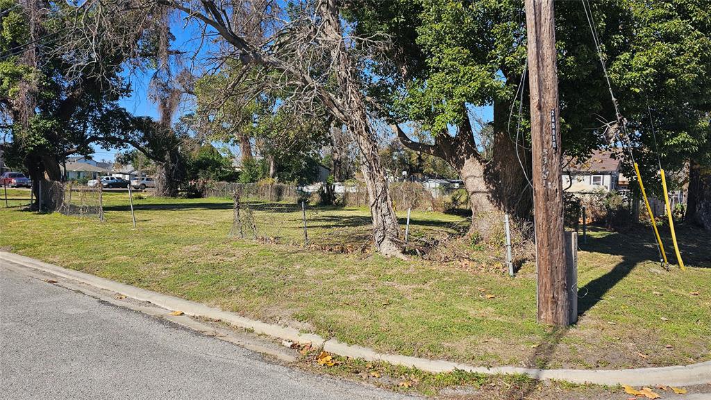 1509 Finch Street, Houston, Texas image 3