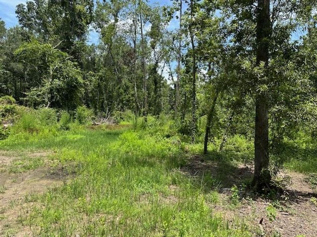Photo of 20295 Red Oak Lane Lane, New Caney, TX 77357 (MLS # 48512287)
