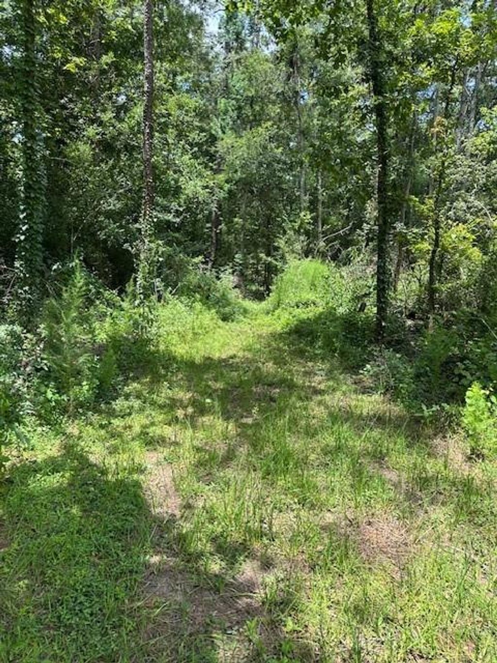 Photo of 20295 Red Oak Lane Lane, New Caney, TX 77357 (MLS # 48512287)