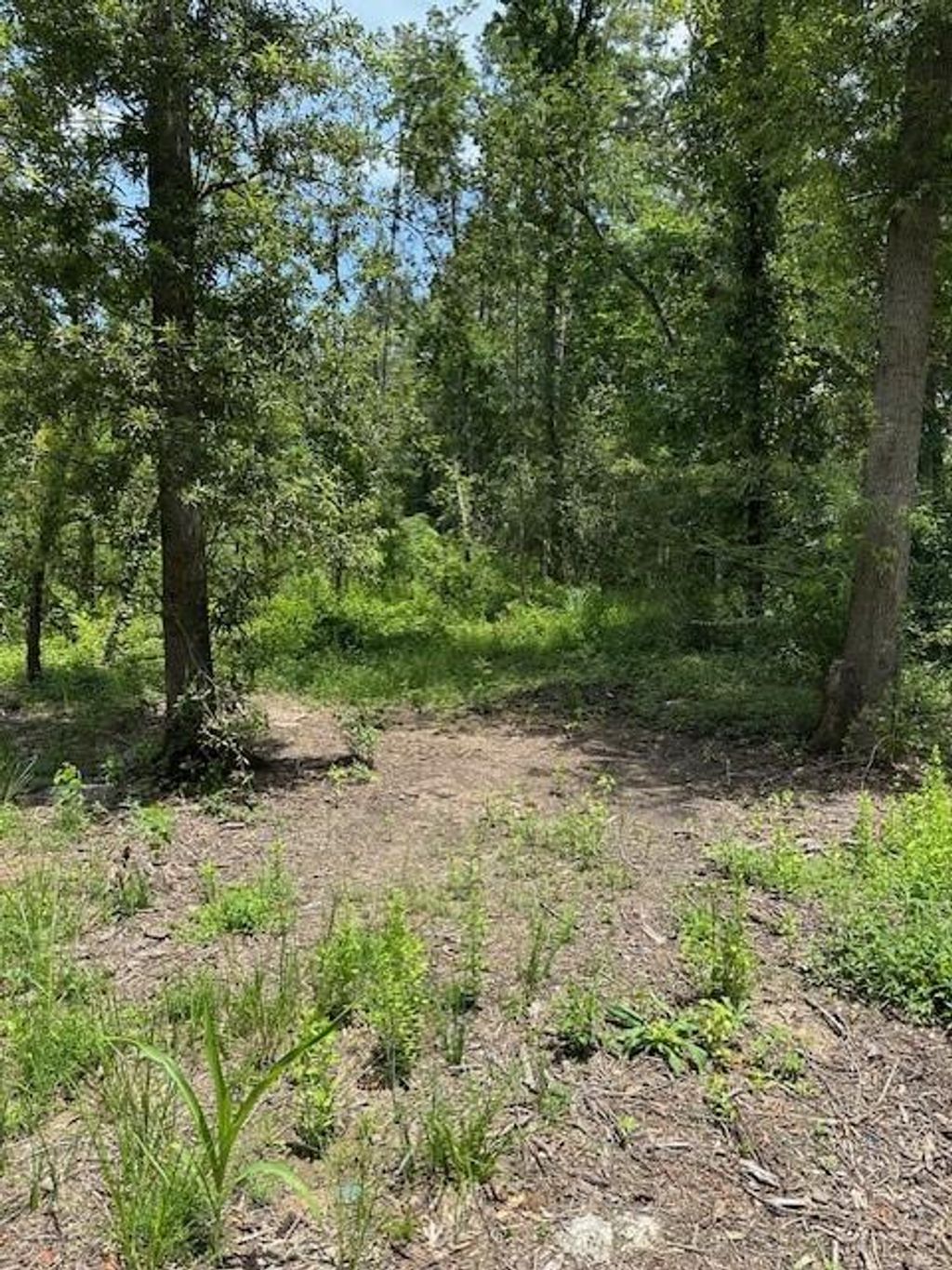 Photo of 20295 Red Oak Lane Lane, New Caney, TX 77357 (MLS # 48512287)