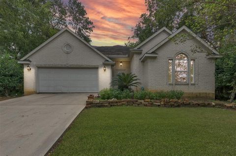 3818 Treasure Island Drive, Montgomery, TX 77356 - #: 14866008