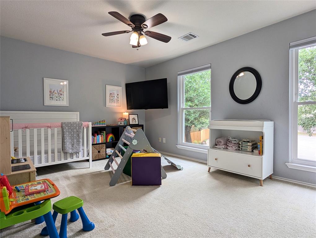 14504 Templemore Cove, Austin, Texas image 16
