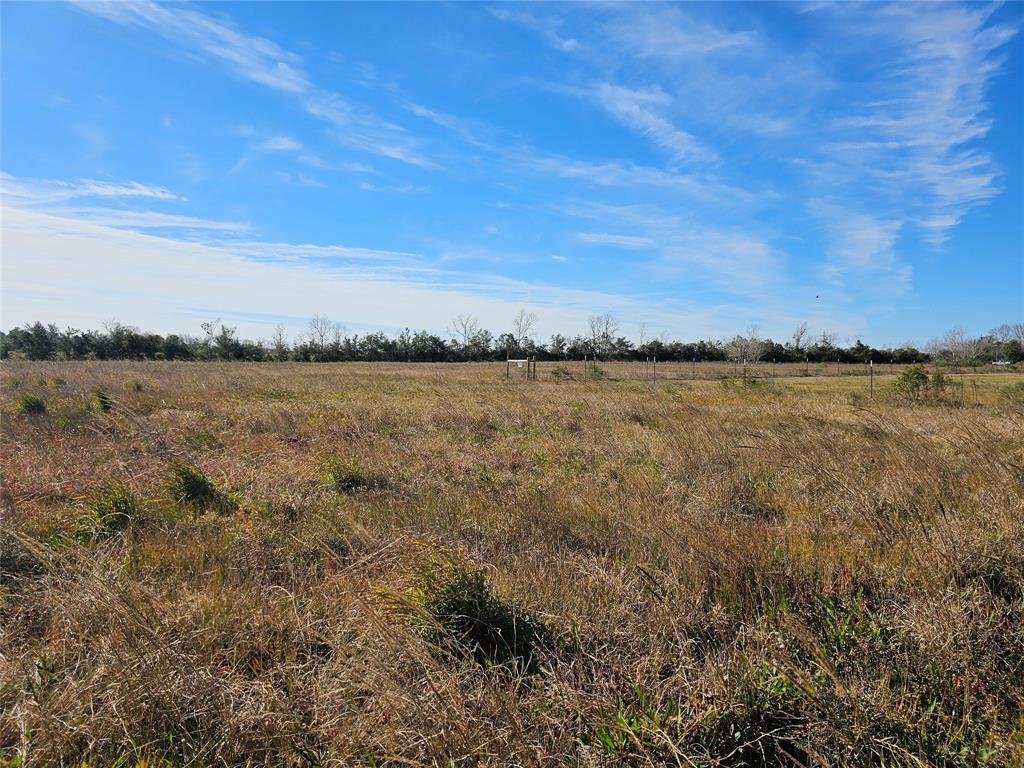 Fm 1724, Anahuac, Texas image 14