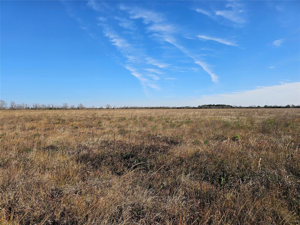 Fm 1724, Anahuac, Texas image 15