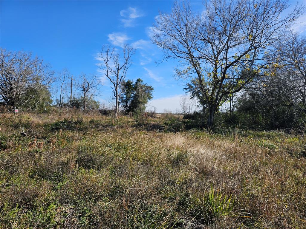 Fm 1724, Anahuac, Texas image 7