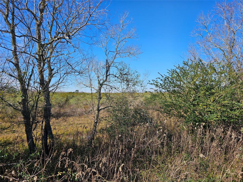 Fm 1724, Anahuac, Texas image 19