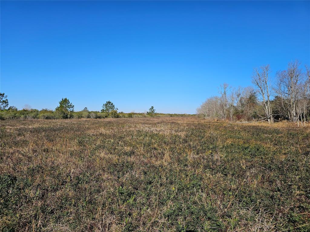 Fm 1724, Anahuac, Texas image 8