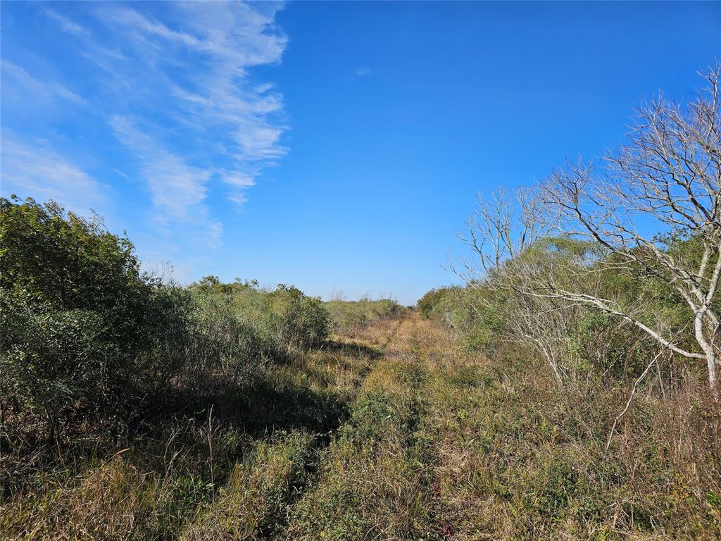 Fm 1724, Anahuac, Texas image 17