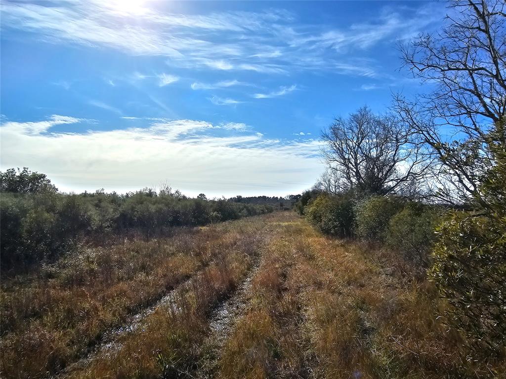 Fm 1724, Anahuac, Texas image 18