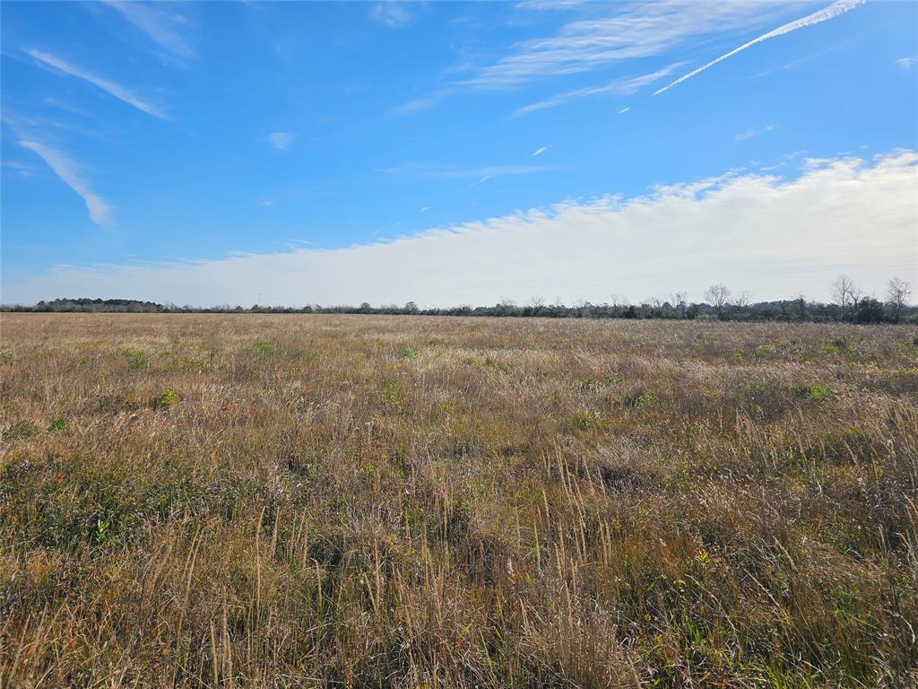 Fm 1724, Anahuac, Texas image 16