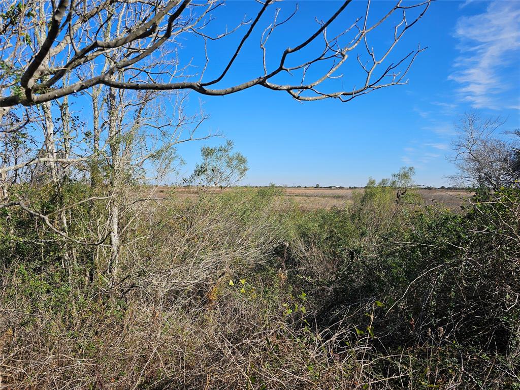 Fm 1724, Anahuac, Texas image 21