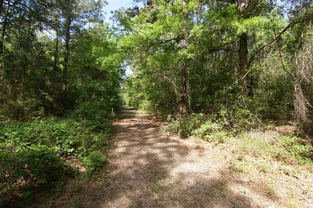Photo of TBD Roman Forest Blvd, Roman Forest, TX 77357 (MLS # 88448055)