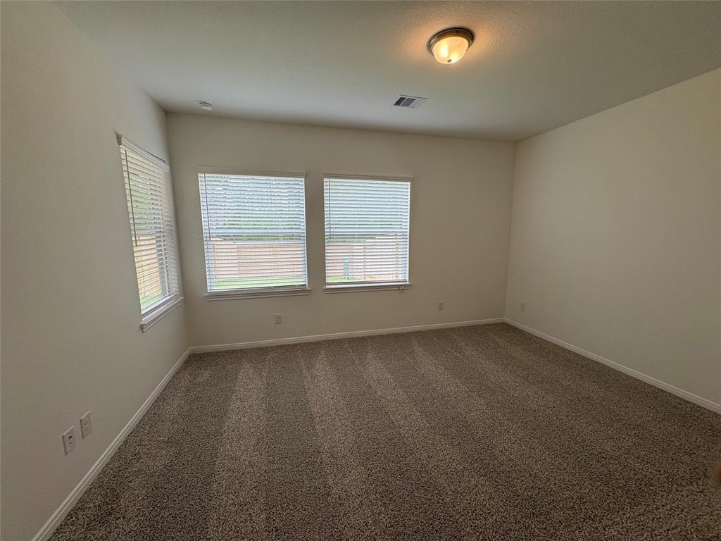 203 Cider Gum Place, Montgomery, Texas image 5