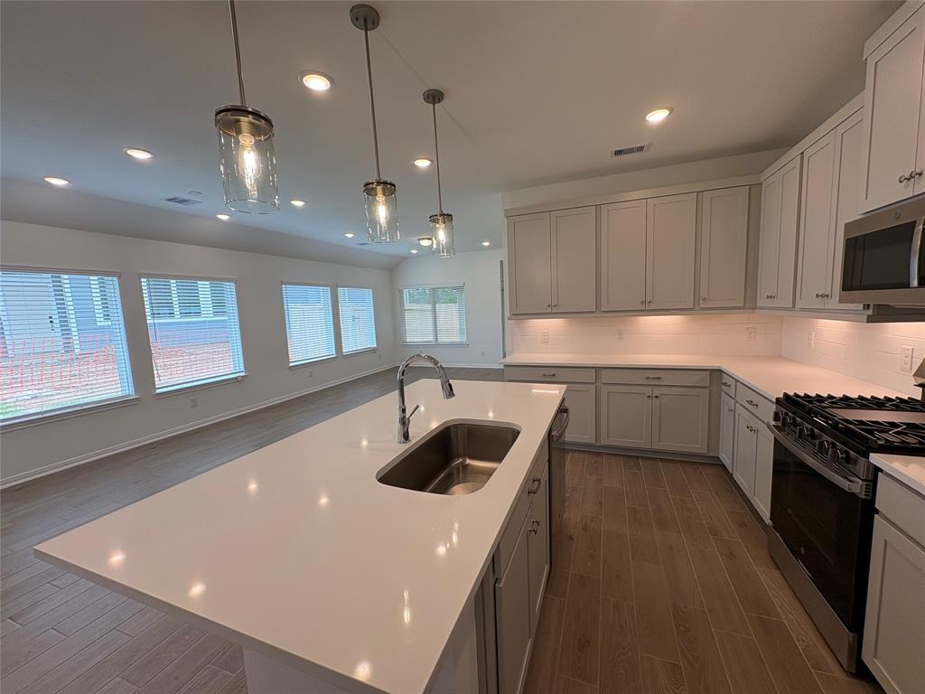 203 Cider Gum Place, Montgomery, Texas image 4