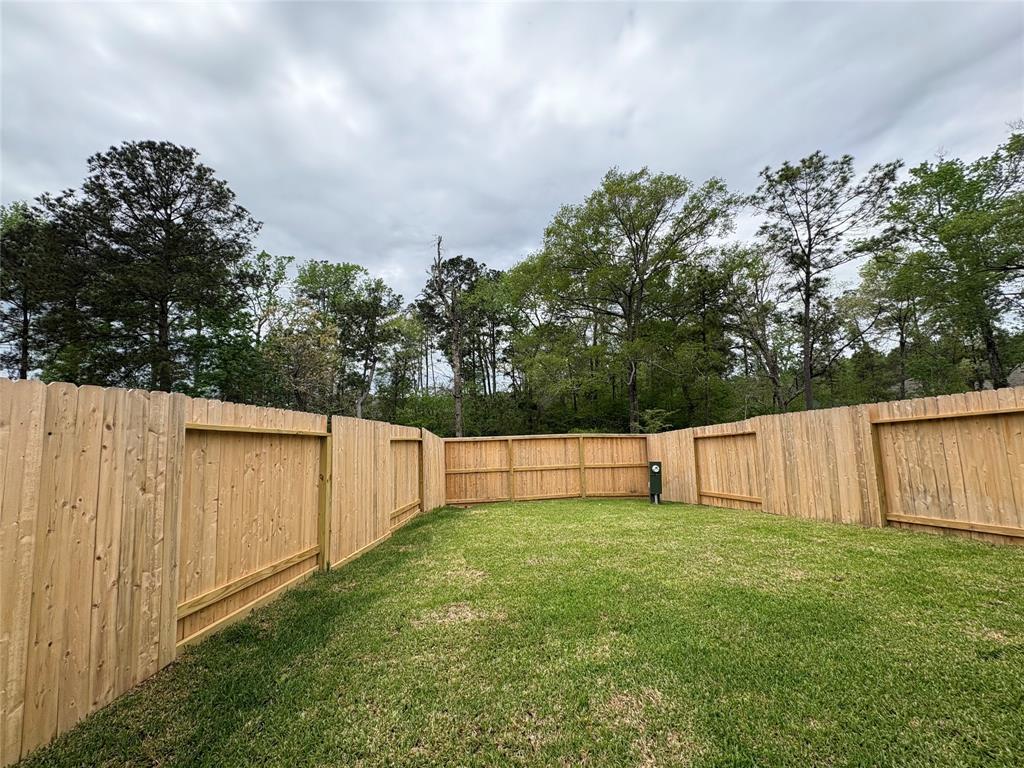 203 Cider Gum Place, Montgomery, Texas image 11