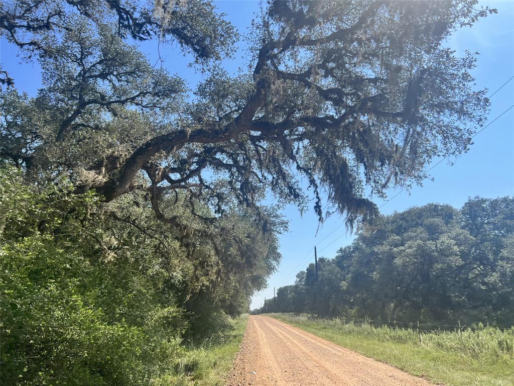 270 Cr 120, Hallettsville, Texas image 8