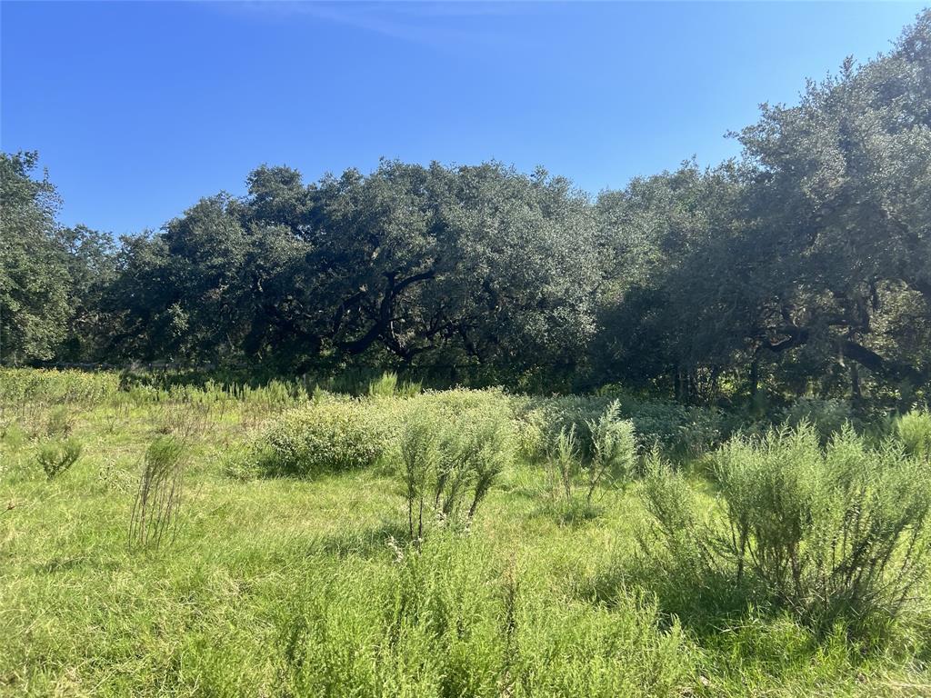 270 Cr 120, Hallettsville, Texas image 9