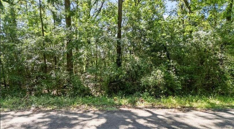 TBD Commodore Drive, Livingston, Texas image 1