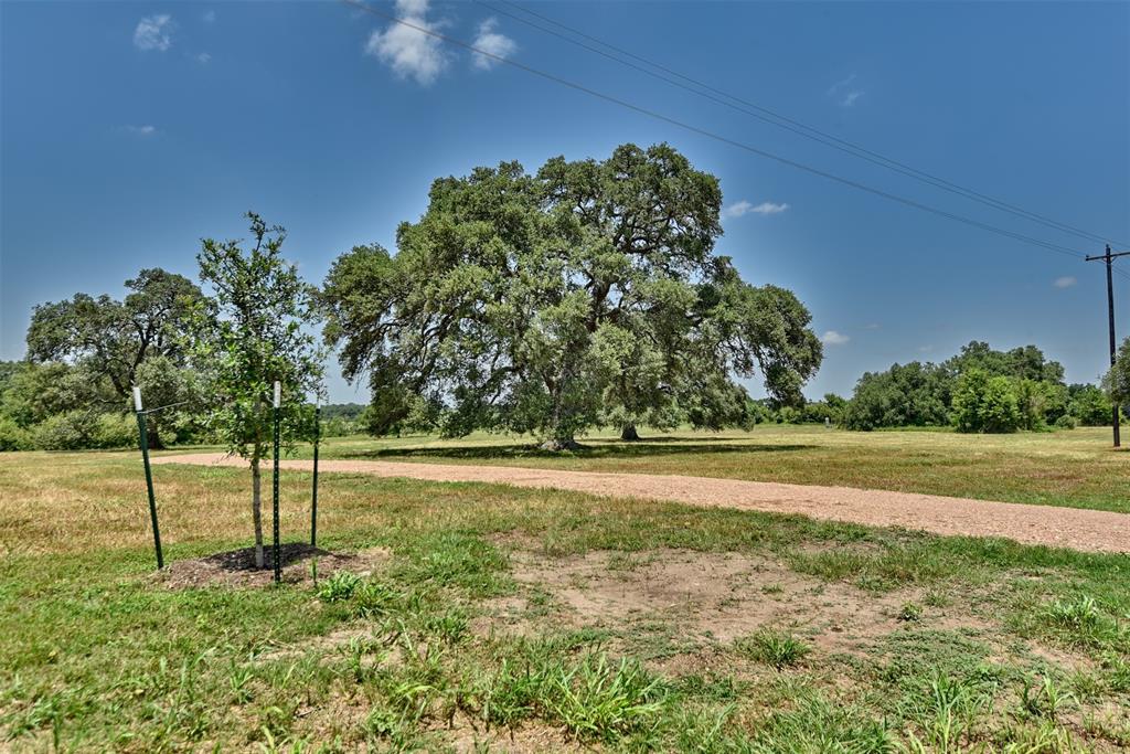 4914 Hartfield Road, Round Top, Texas image 5