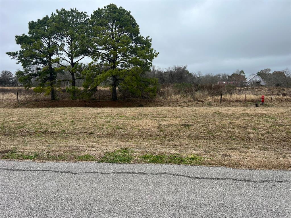 1901 Schulte Lane, Friendswood, Texas image 4