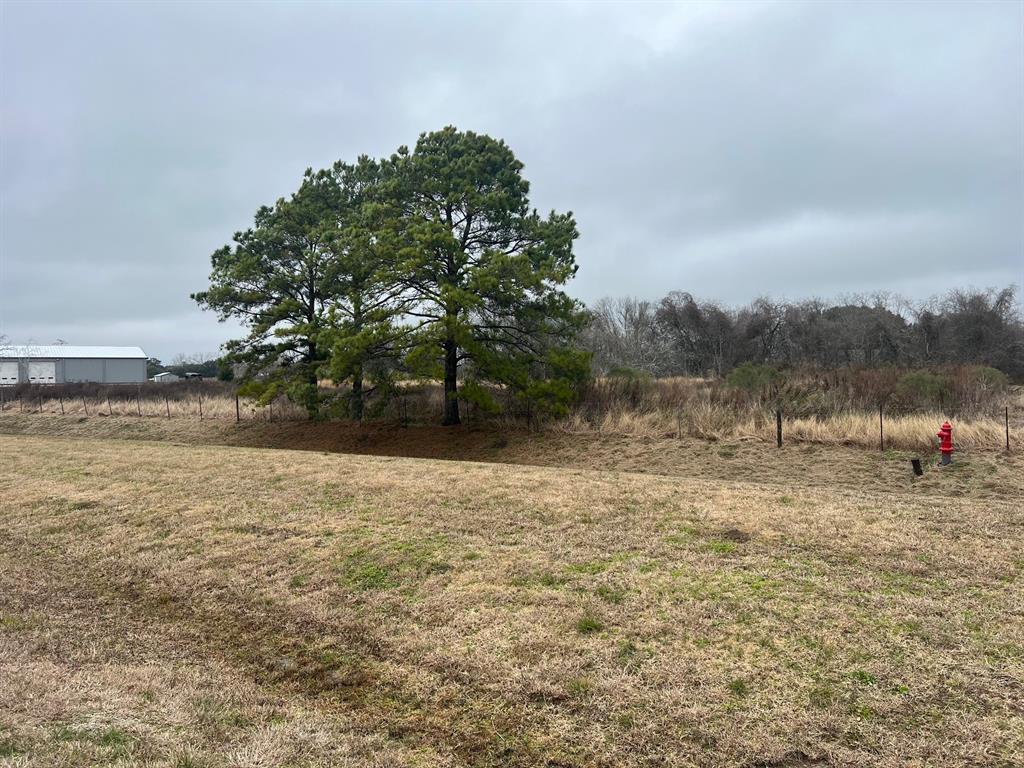 1901 Schulte Lane, Friendswood, Texas image 3