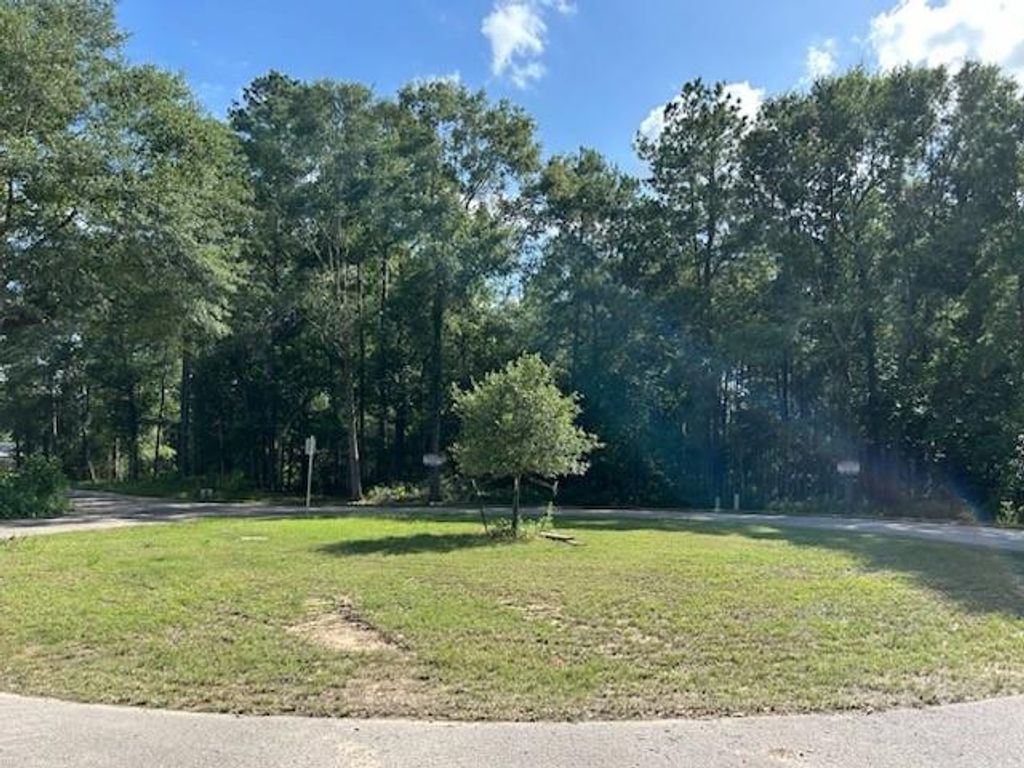 Photo of 31 Scribe Street, Roman Forest, TX 77357 (MLS # 88443028)