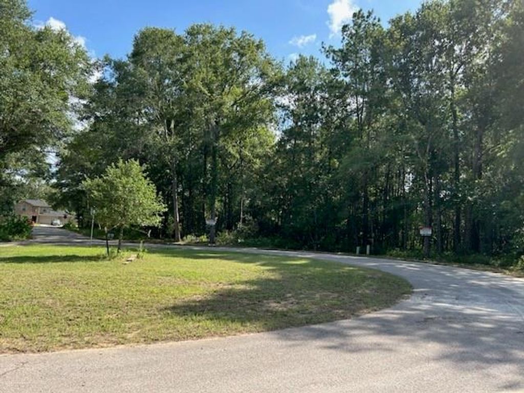 Photo of 31 Scribe Street, Roman Forest, TX 77357 (MLS # 88443028)