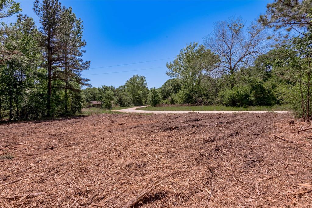 6077 Tract 4 Cr 4200, Pennington, Texas image 2