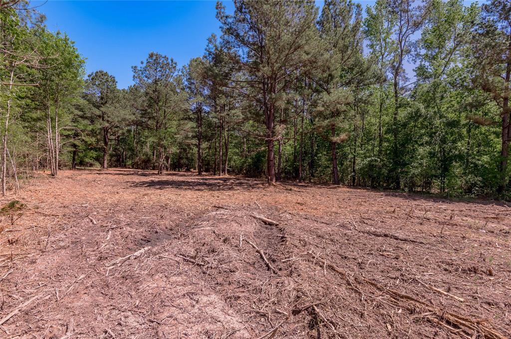 6077 Tract 4 Cr 4200, Pennington, Texas image 4