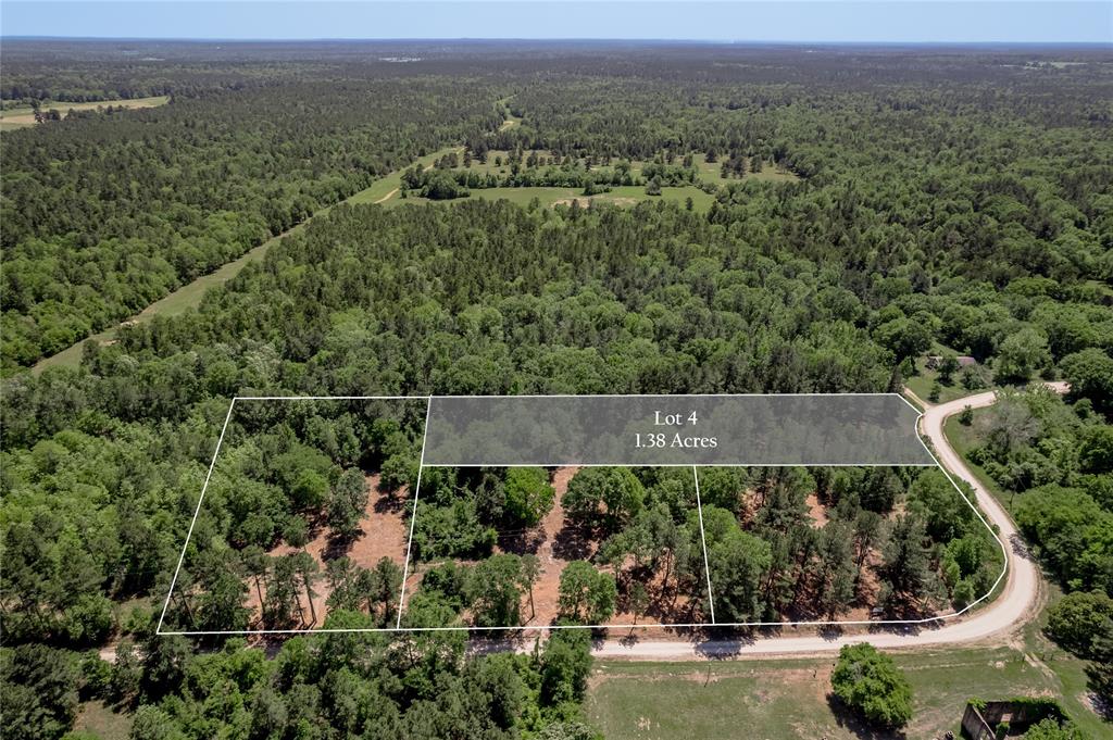 6077 Tract 4 Cr 4200, Pennington, Texas image 7