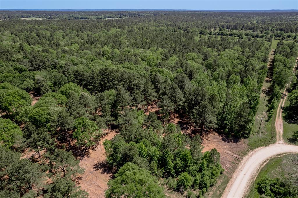 6077 Tract 4 Cr 4200, Pennington, Texas image 6