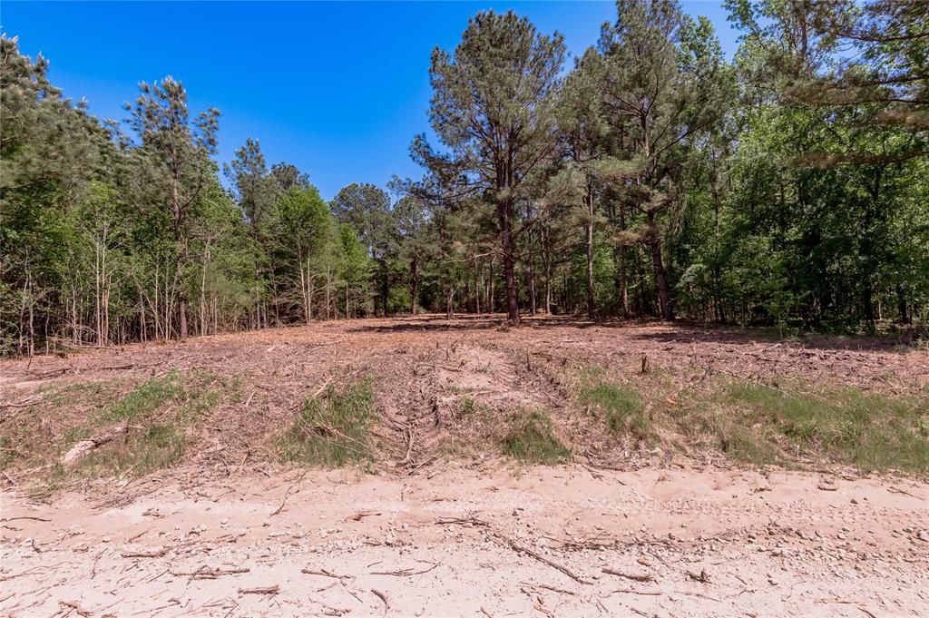 6077 Tract 4 Cr 4200, Pennington, Texas image 1