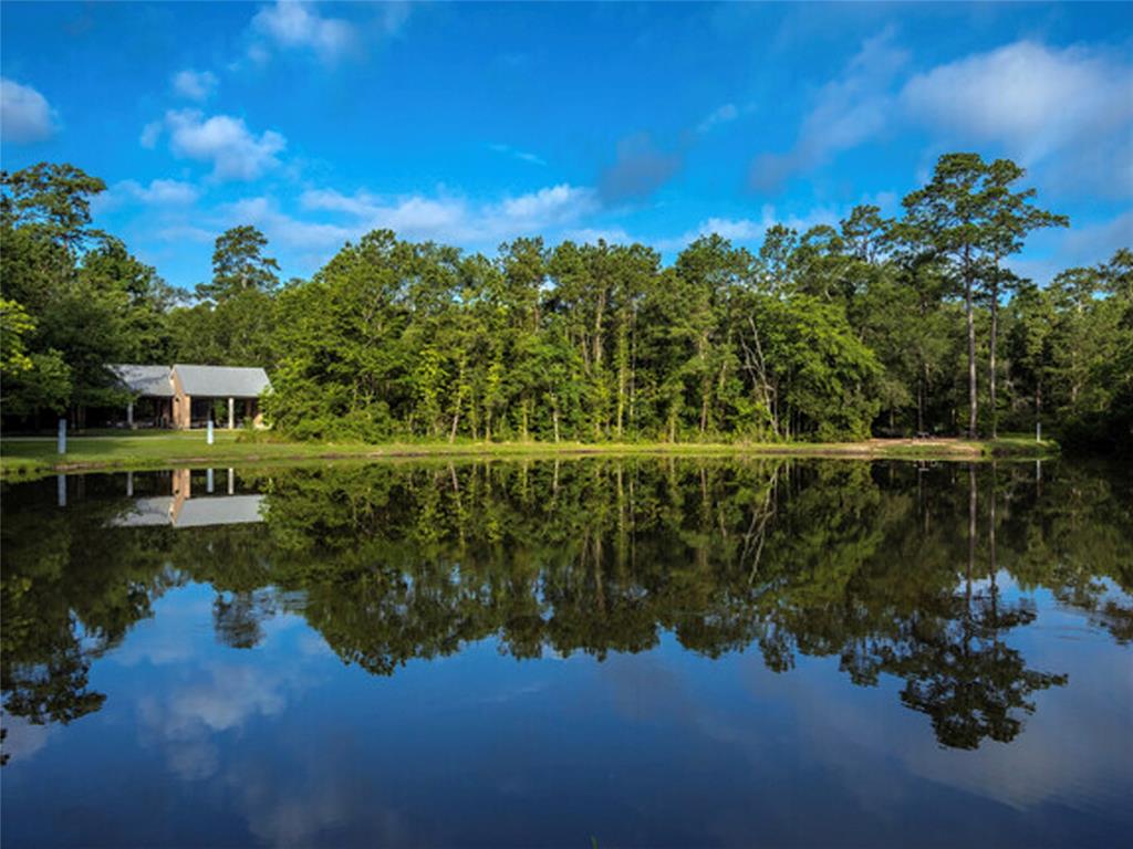 8051 Bay Branch Drive #424, The Woodlands, Texas image 28