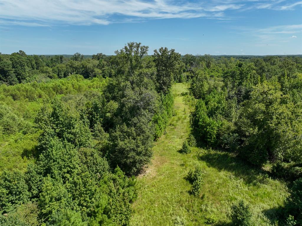 01 Us 271, Gladewater, Texas image 14