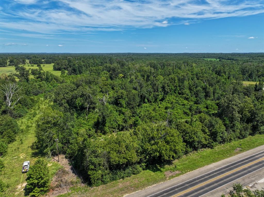 01 Us 271, Gladewater, Texas image 8